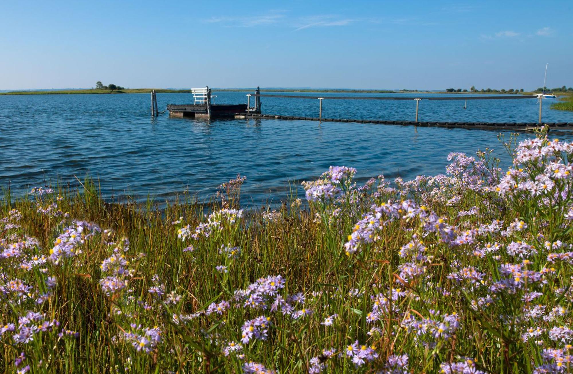 Апартаменти Luett Kajuet - Fip Park Інзель-Пель Екстер'єр фото