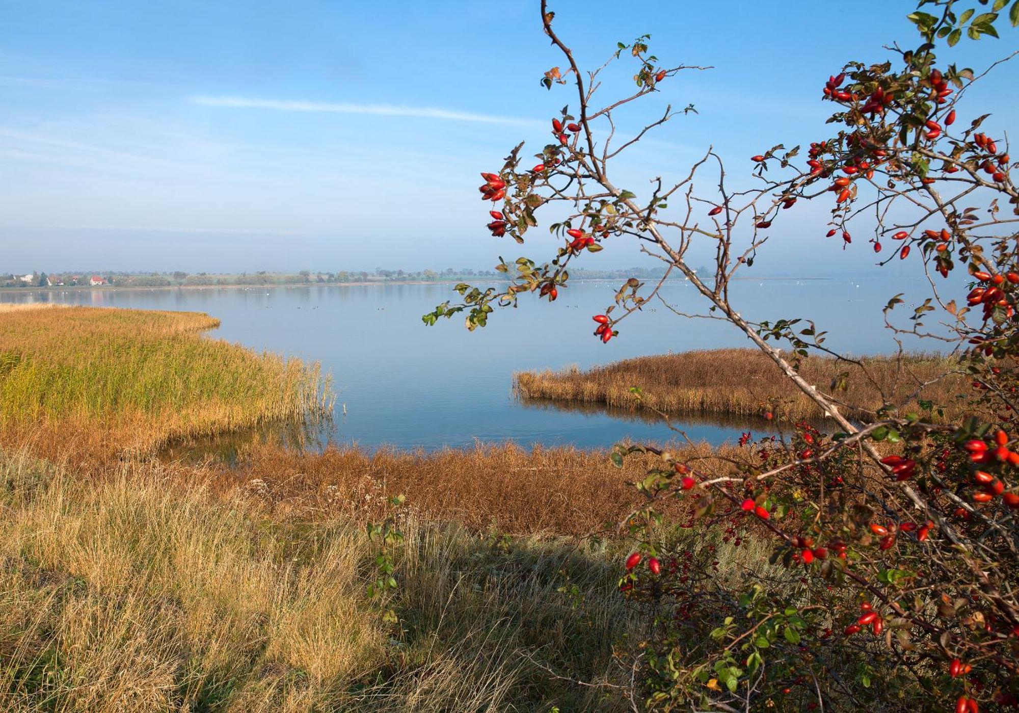 Апартаменти Luett Kajuet - Fip Park Інзель-Пель Екстер'єр фото